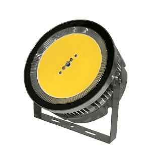LED Flood Light