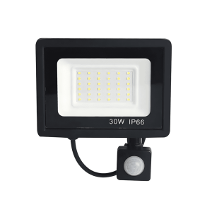 LED Flood Light