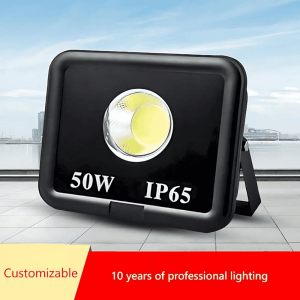 LED Flood Light