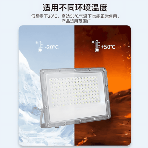 LED Flood Light
