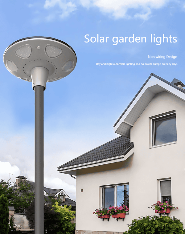 Solar Street light