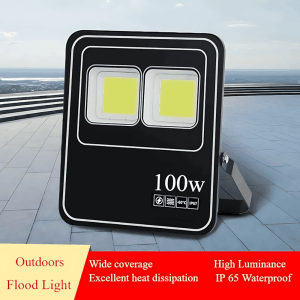 LED Flood Light